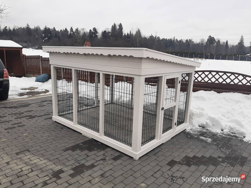 Kojec psa Jordanów