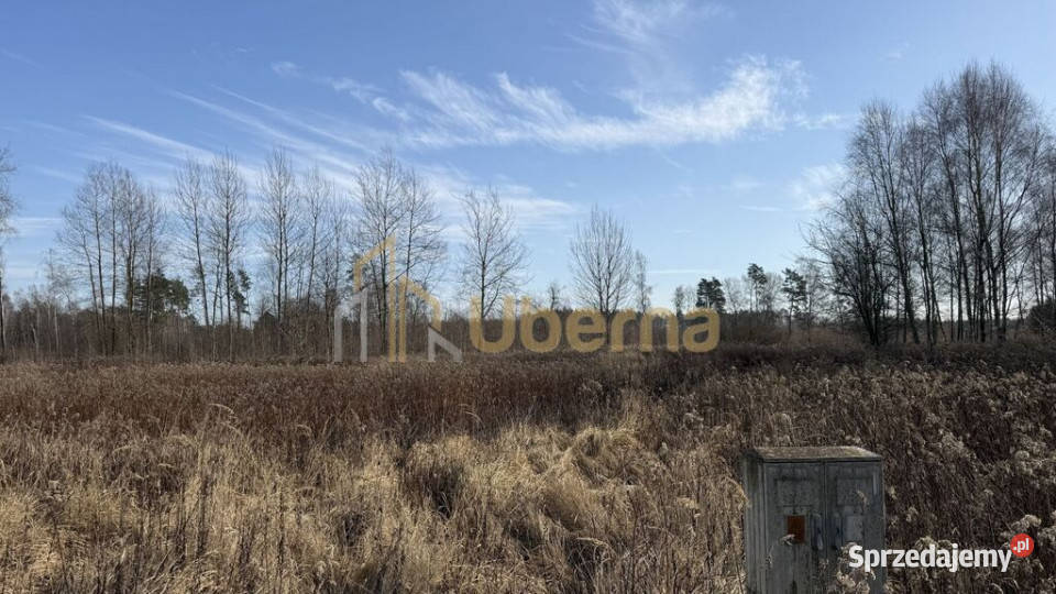 Działka 1552 m2 Żółwia Błoć 4491 m2 Sprzedaż