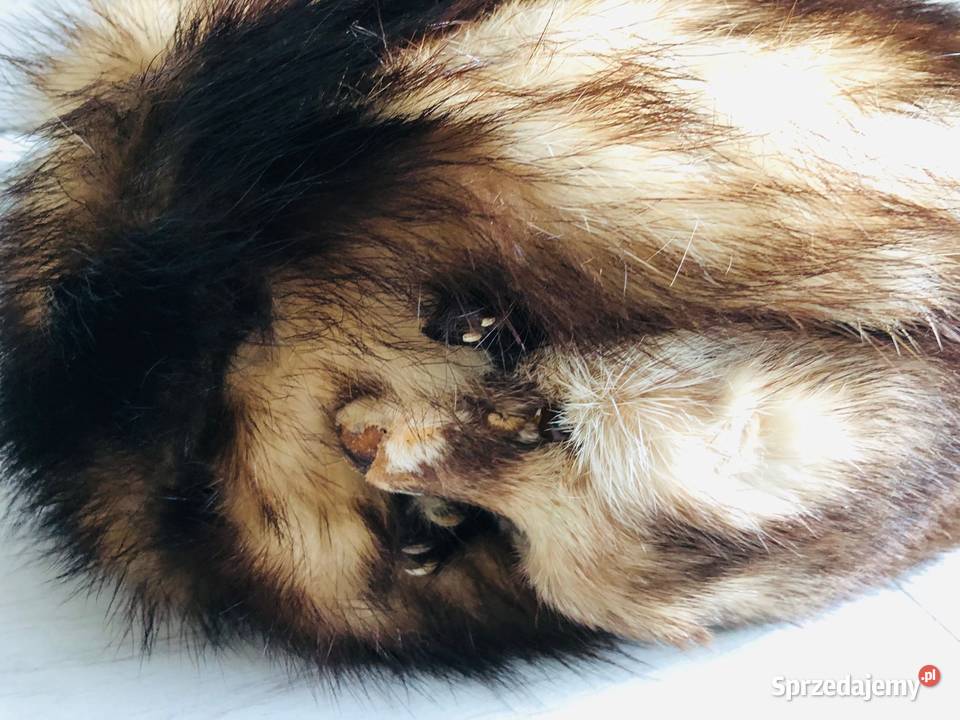 NOWA Czapka z futra tchórzofretki prawdziwe Galanteria i dodatki Łódź