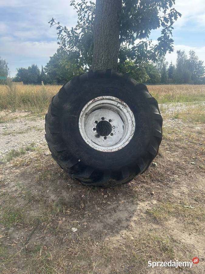 Sprzedam kolo Bizon sprzedam