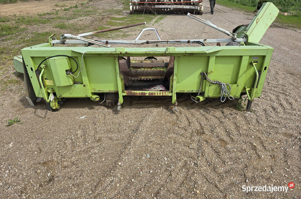 Heder do kukurydzy CLAAS MG86218 do sieczkarni Włosty