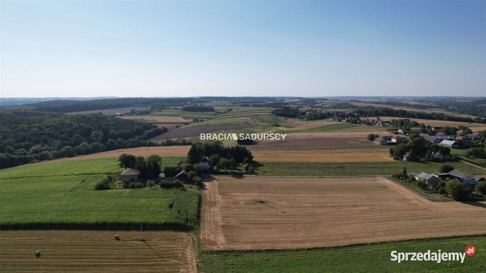 Sprzedam grunt 1400m2 Lesieniec