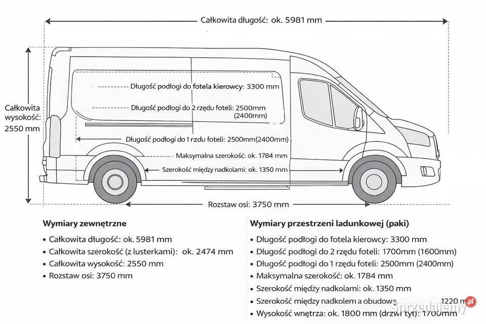 Wynajem bus 81os klimatyzowany hak transport Dąbrowa Górnicza