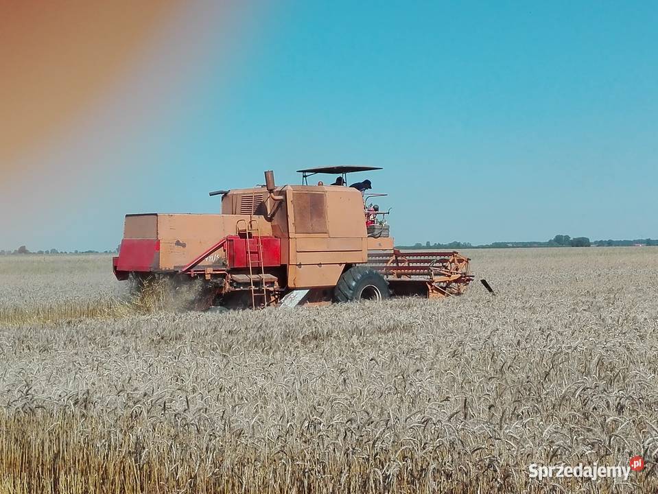 Sprzedam Bizona zo56 Łowicz