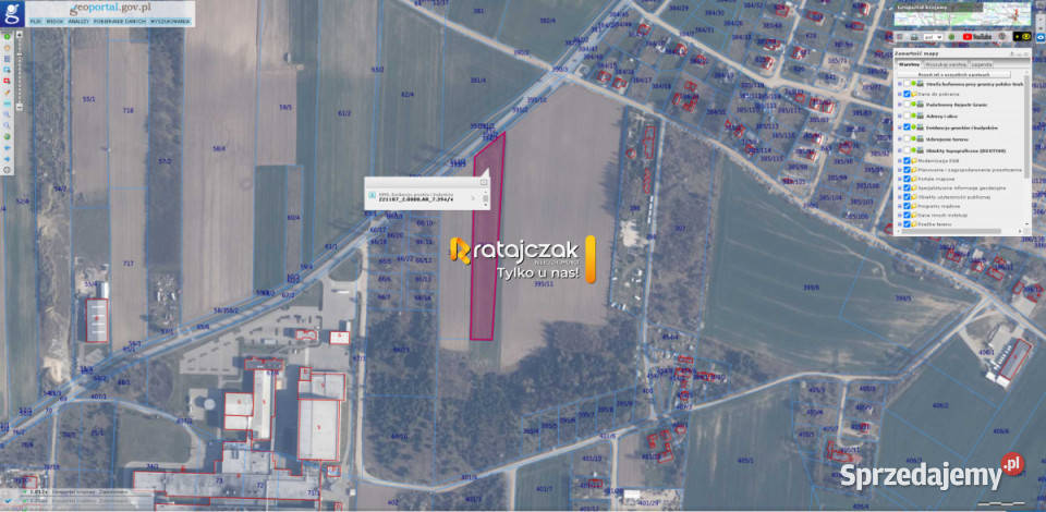 sprzedaży gruntu 9632m2 Łebcz Dr Augusta telefon Nieruchomości sprzedam