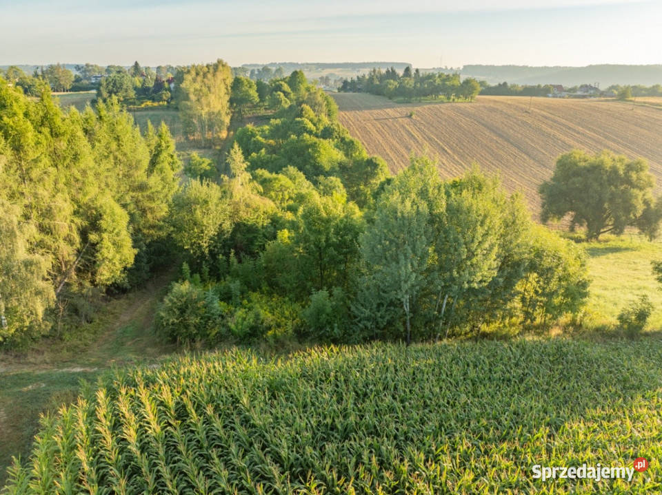 80 arów pozwolenie na budowę 2 domów Nowa Wieś