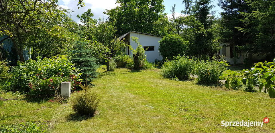 Super Działka Rekreacyjna ROD w centrum Wrocław sprzedam