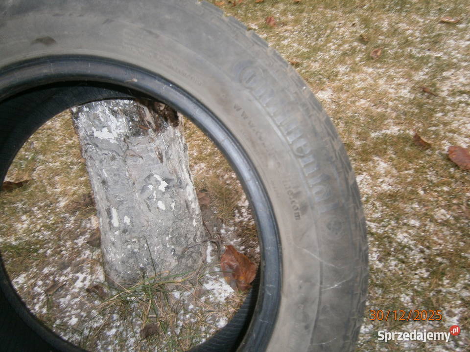 Opony zimowe 1856015 185 Poddębice