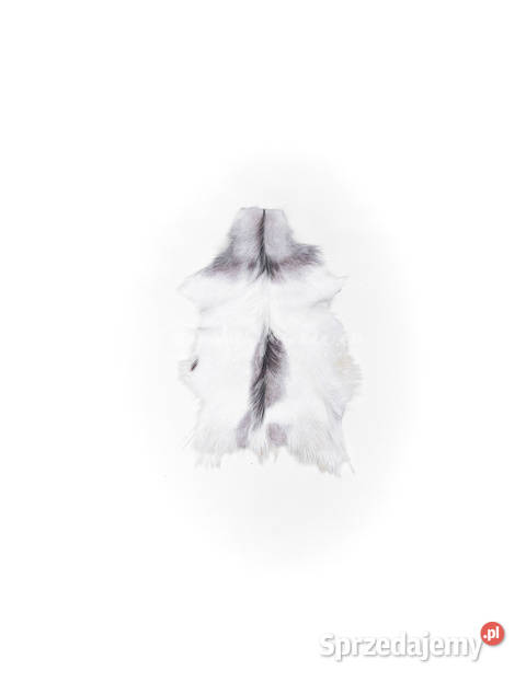 Skóra z kozy kozia skóra kozia skóra dekoracyjna Skóry Szaflary