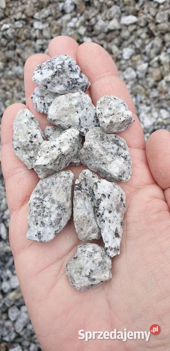 Grys granit Dalmatyńczyk 816 1622 Kamień Żwir i kamienie Ogród mazowieckie
