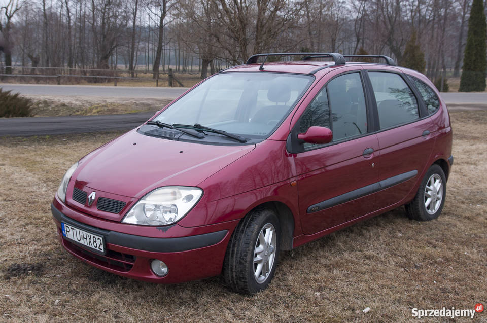 Sprzedam Renault Scenic 1.9 dci 2000r Turek Sprzedajemy.pl