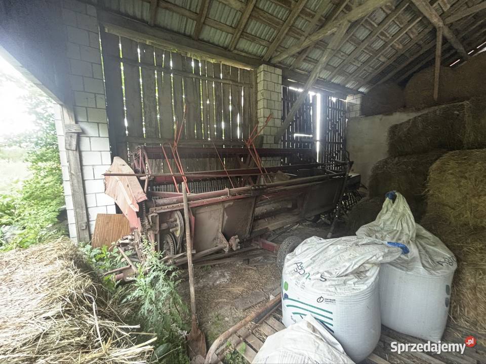 Kobajn bizon z56 Bizon Zamość