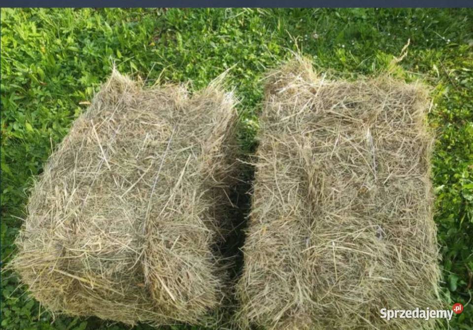 Siano snopki Stara Kamienica