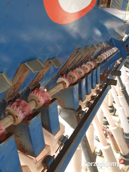 Siewnik poznaniak Radawiec Duży