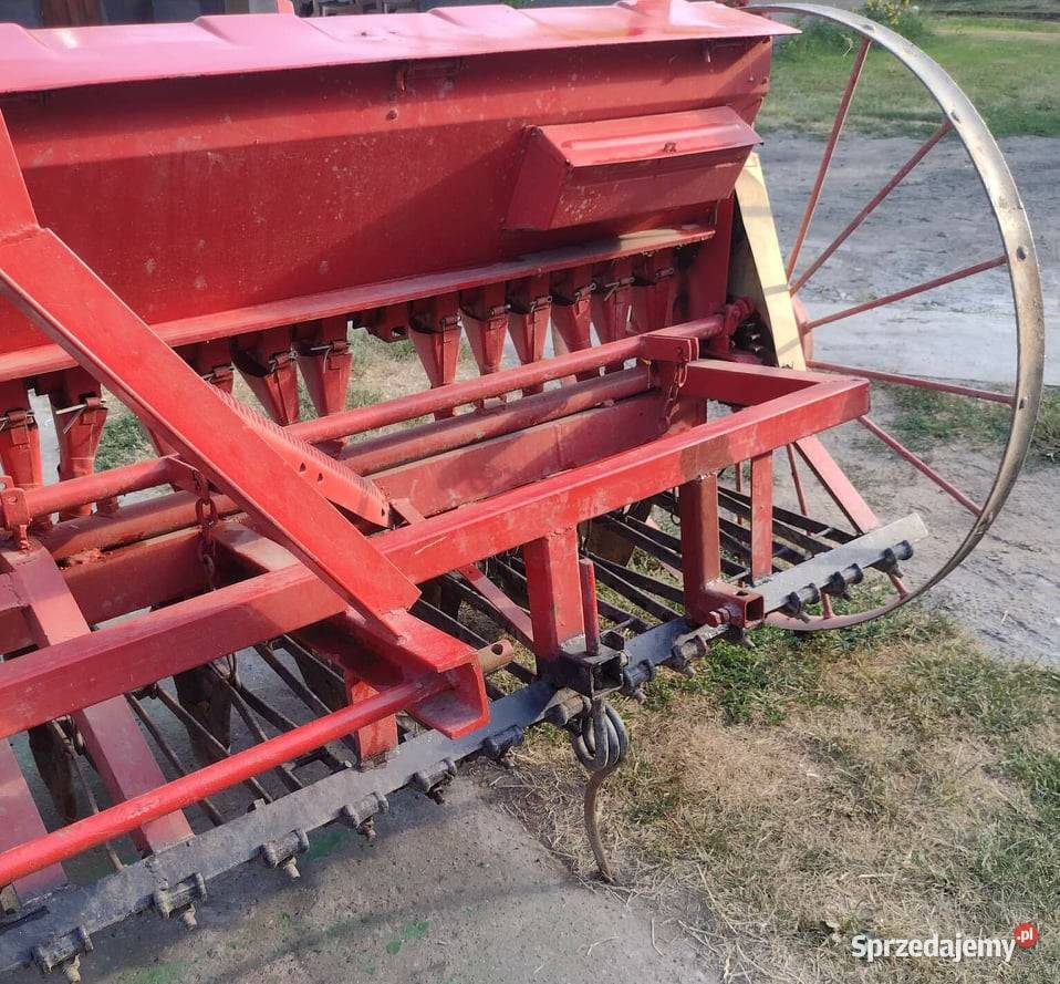 Siewnik zbożowy podkarpackie Wola Buchowska