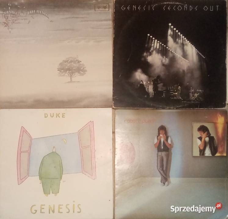 Płyty winylowe rockowe różni wykonawcy czytaj Gołębiewko