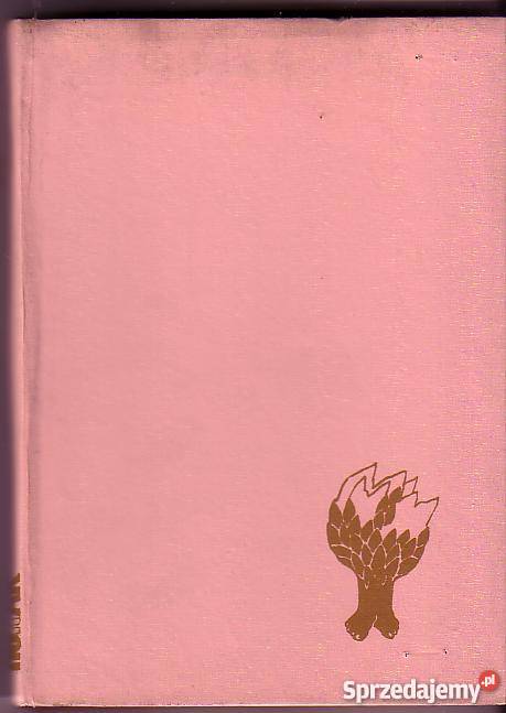 6432 LASY MILCZĄ JOZEF HORAK małopolskie Czyrna