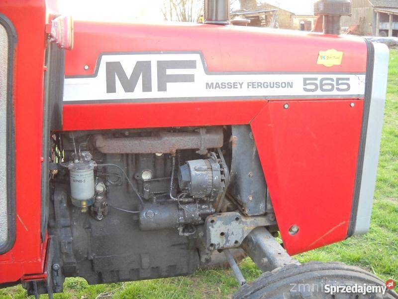 Massey Ferguson 565 MF Ursus 4512 Zetor 7211 8142h Wartkowice