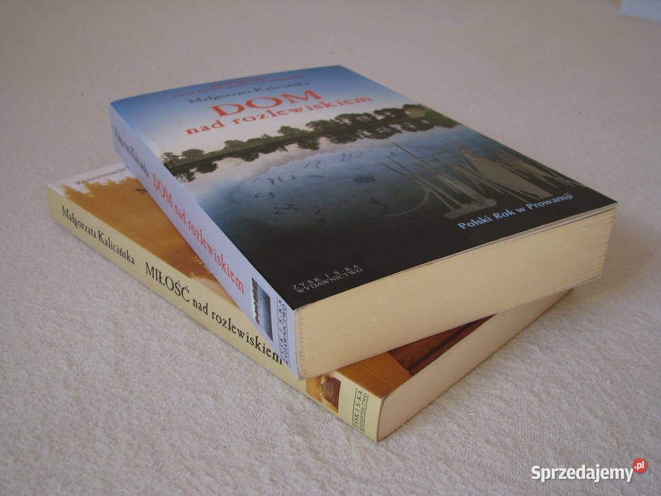 Małgorzata Kalicińska Dom rozlewiskiem Miłość literatura piękna - proza polska Proza i poezja Brzegi