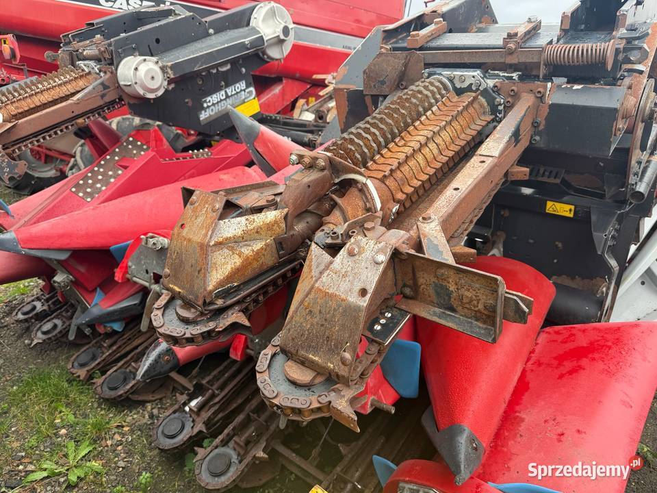 Przystawka do kukurydzy Gringhoff 6 rzędowa Nowa Ruda sprzedam