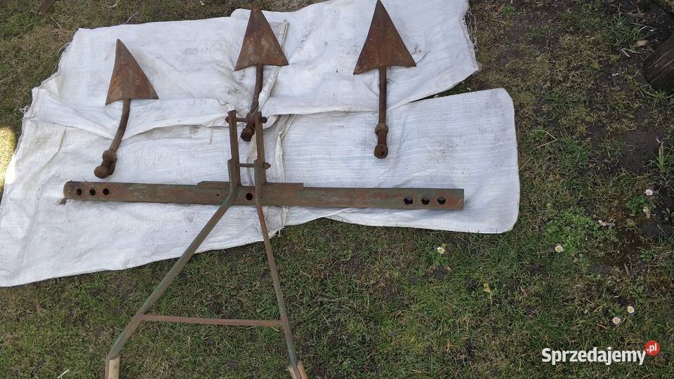 margiel konny radło Jarosław