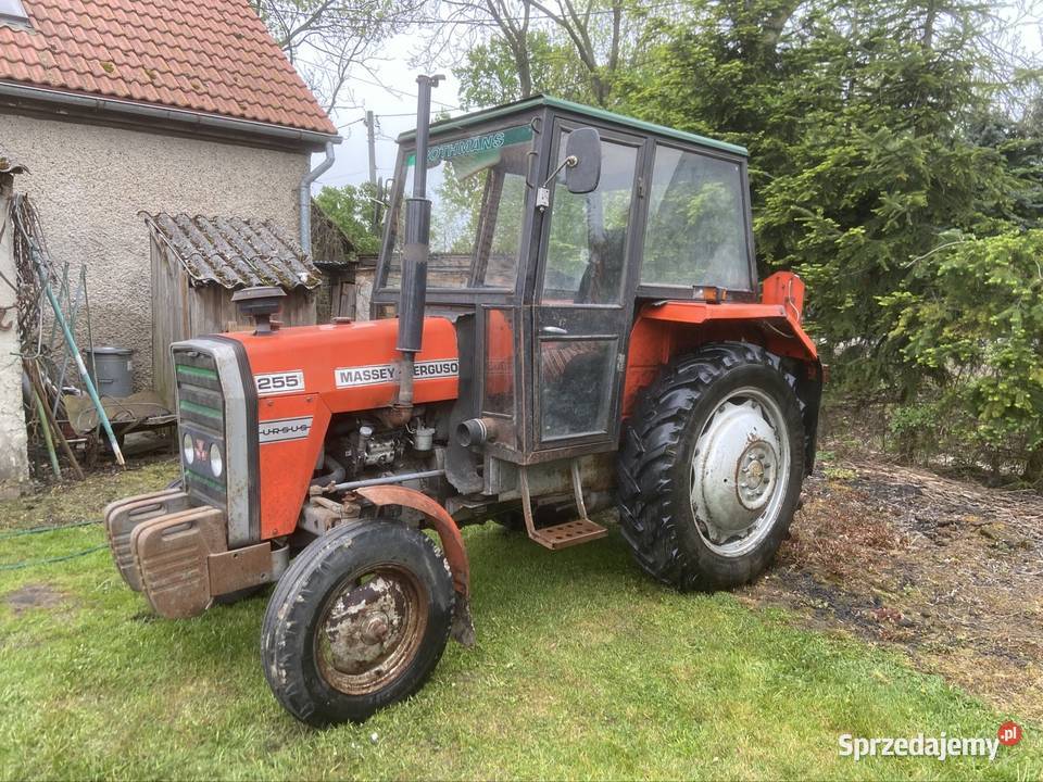 MF 255 sprzedam