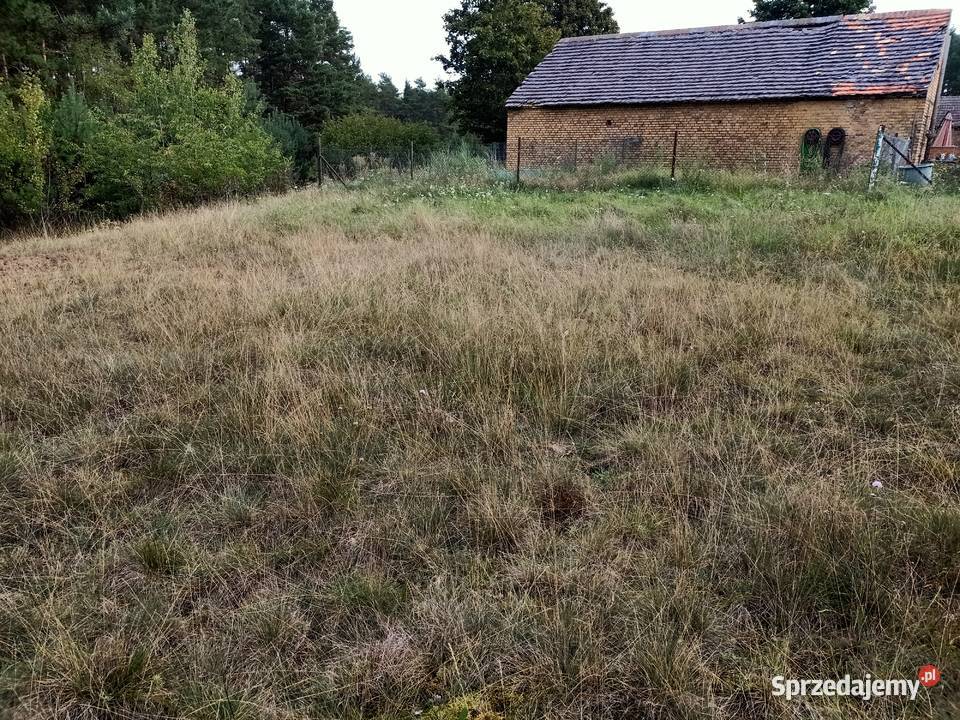 Działka Świbinki rolna z warunkami zabudowy 1436m2