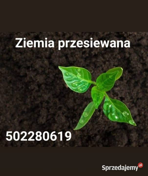 Tranport Hds Materiały Sypkie Koparkoładowarka Grodzisk Mazowiecki
