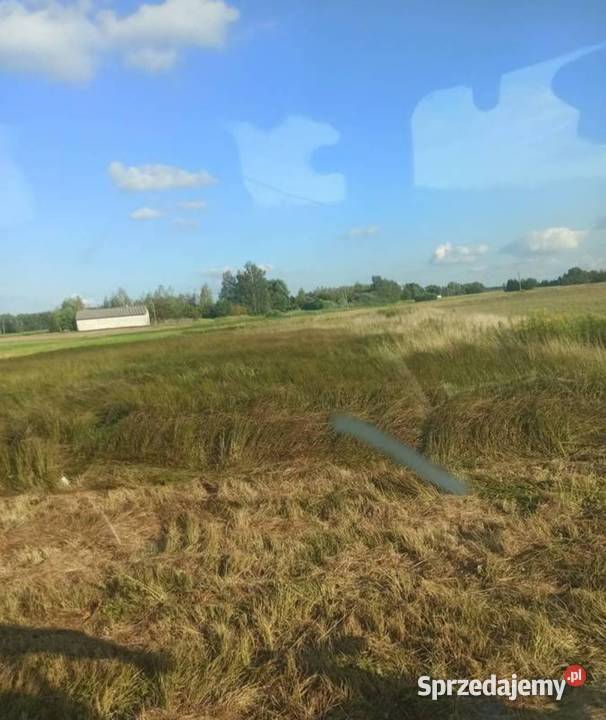 Koszenie nieużytków mulczowanie koszenie trawy Karczowanie i usuwanie drzew Paprotnia prace ogrodowe