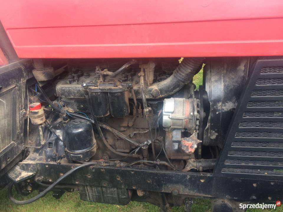 Zetor 8011 sprawny 100 Radomsko sprzedam