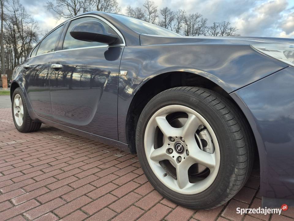 Opel Insignia A lubelskie Zagóźdź