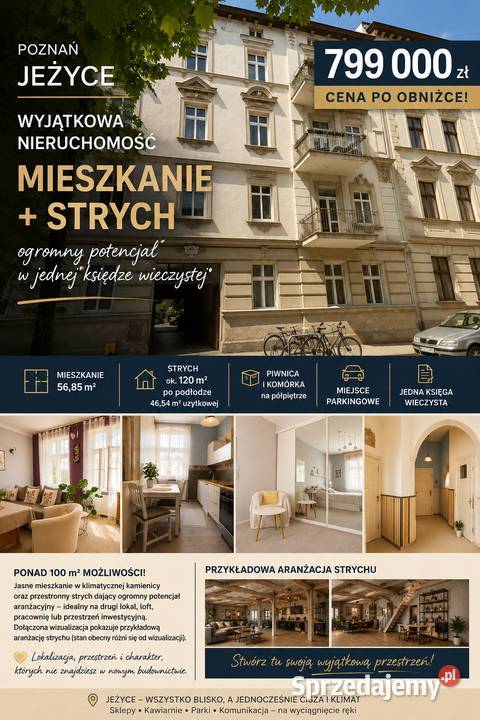 Wyjątkowe Jeżyce mieszkanie strych z potencjałem Poznań