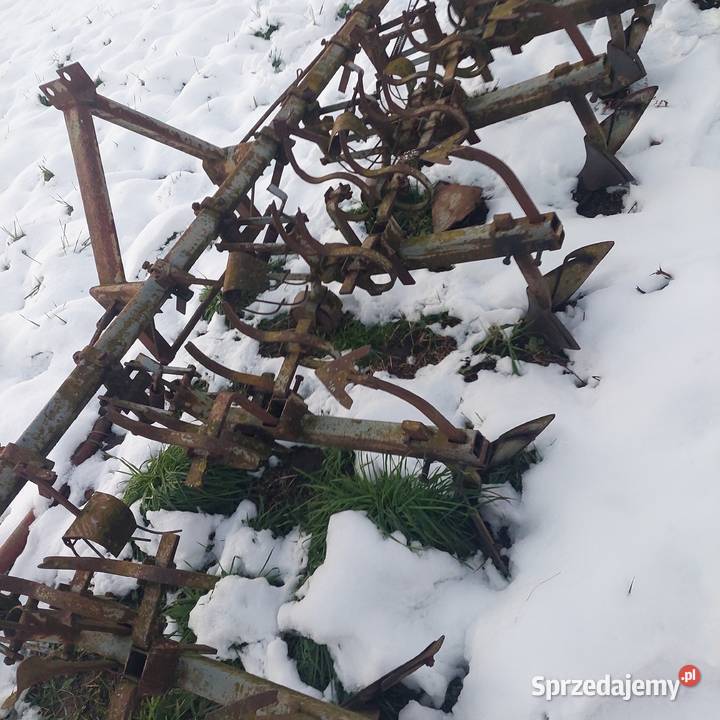 Wielorak do uprawy ziemniaków Obsypniki i pielniki