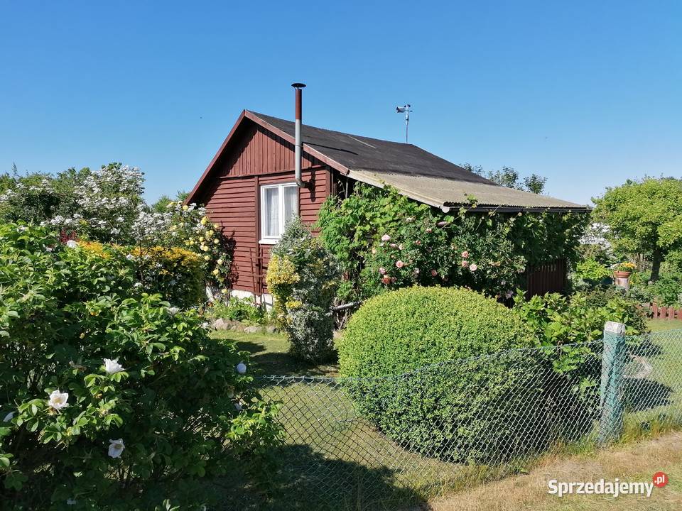 Sprzedam Działkę ROD imADomagalskiego Gdynia