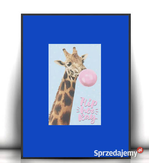 żyrafa obrazek A4 smieszny plakat z żyrafą zoo pomorskie Gdańsk