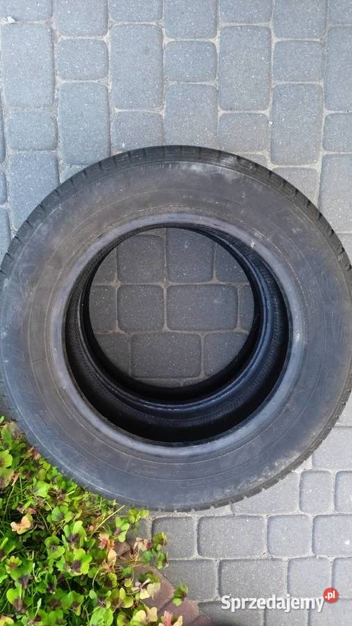 Opony letnie 19565 R15 Dębica Para 2 Ładne lato