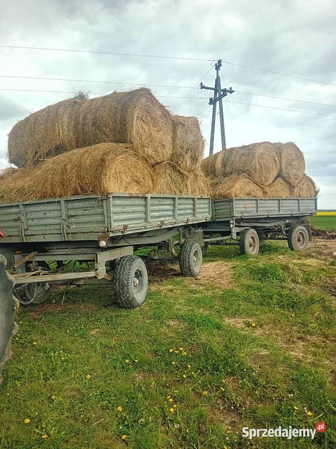 Sprzedam przyczepy d 47 Maszyny rolnicze