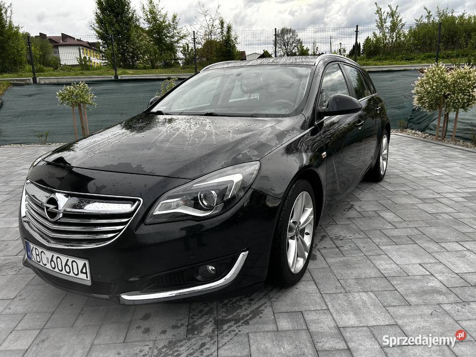 Insignia 20 2014r Nieszkowice Wielkie