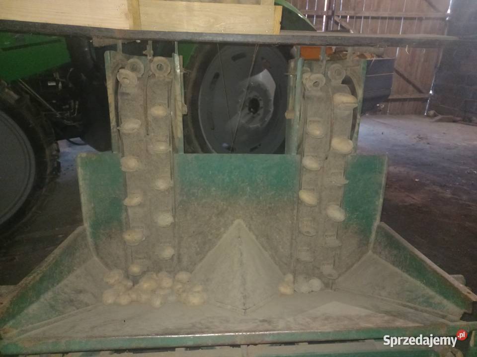 Sadzarka 2 rzędowa podwójne taśmy nadstawka łódzkie Błaszki