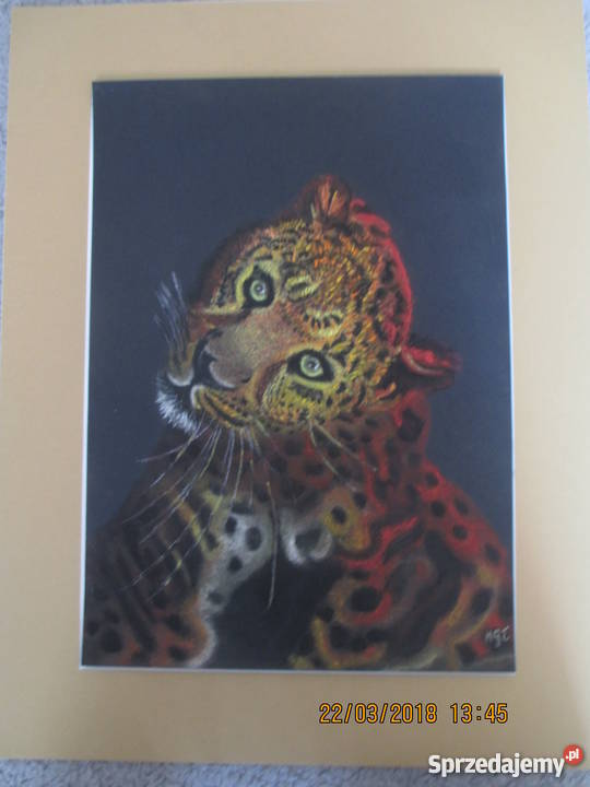 Obraz pastel suchy jaguar Warszawa