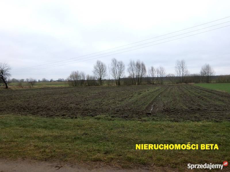 Na sprzedaż gospodarstwo Krobielewko asfalt Krobielewko