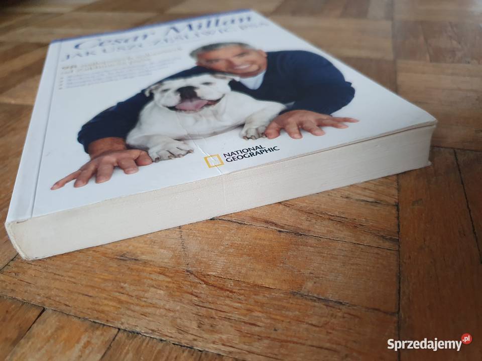 SUPER STAN Cesar MillanZaklinacz psów dolnośląskie sprzedam