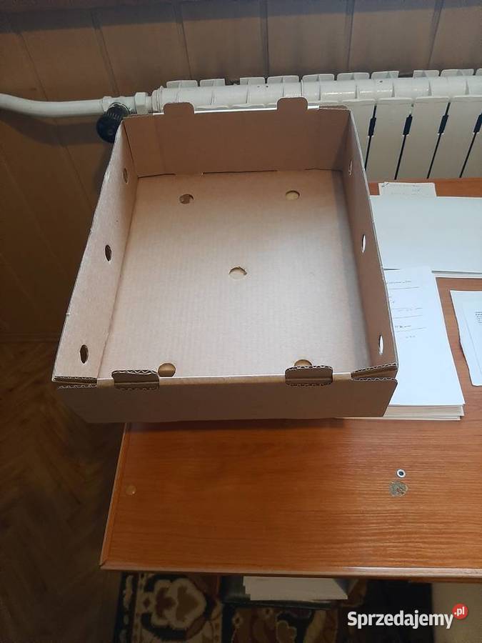 Kartony na soki Bag In Box Grębków