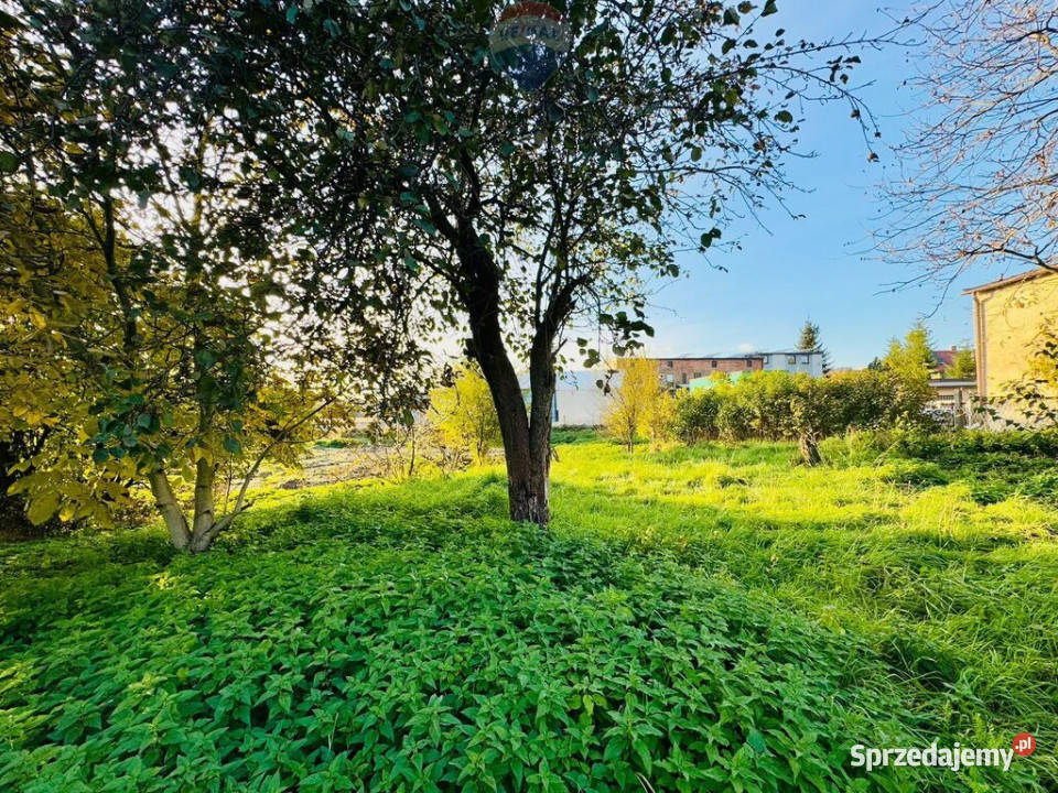 Działka budowlana 1766 m z garażem Niedobczyce Rybnik sprzedam