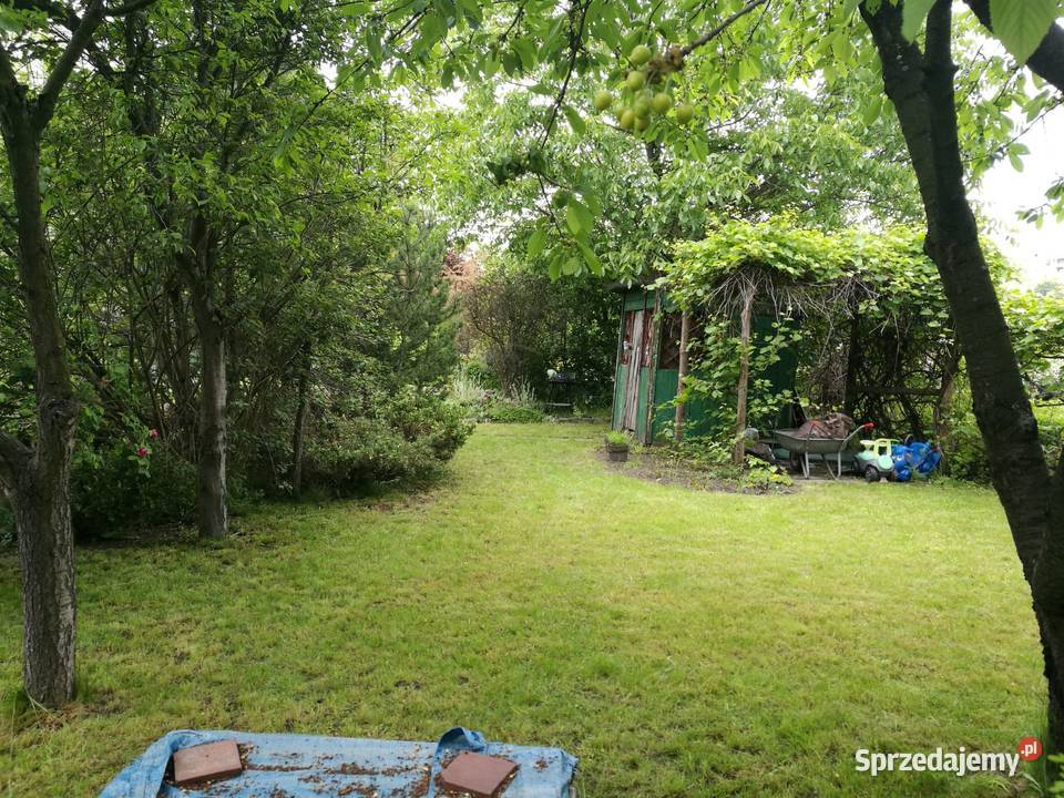 Ogródek działkowy ROD bajki Nieruchomości Wrocław sprzedam