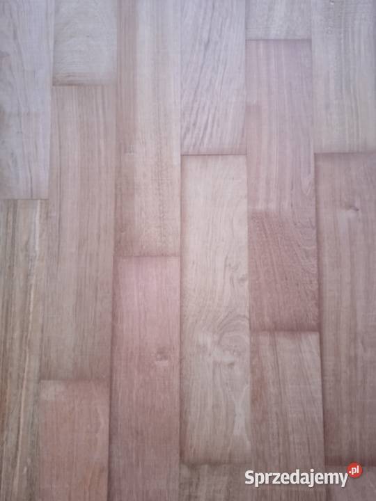 Parkiet egzotyk Jatoba Łódź