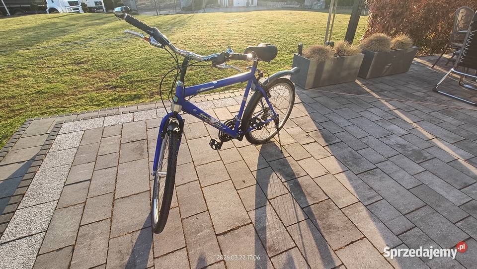 Rower Maxim sprzedam