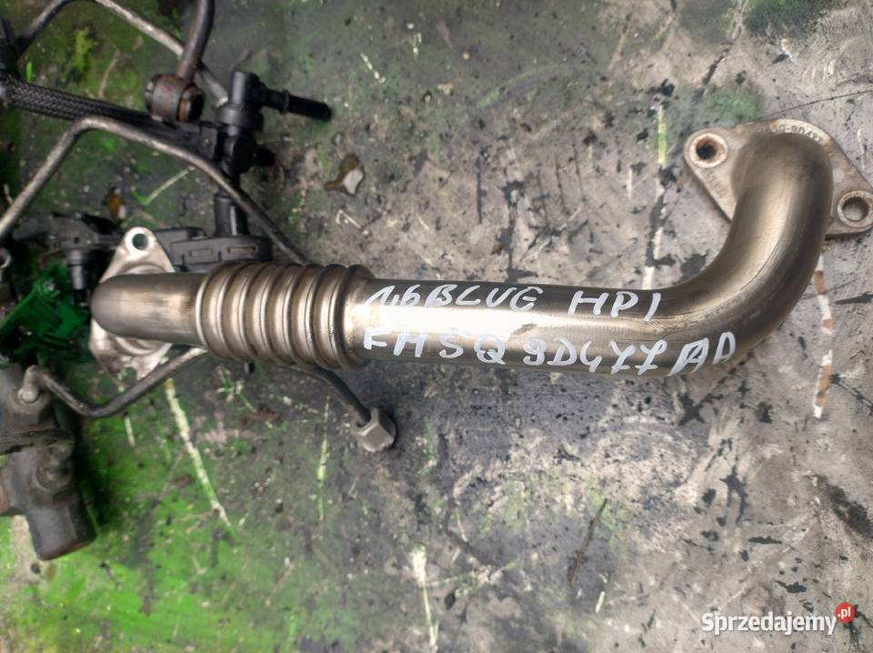 FORD CITROEN PEUGEOT 16 EHdi 15tdci rura EGR Kielce