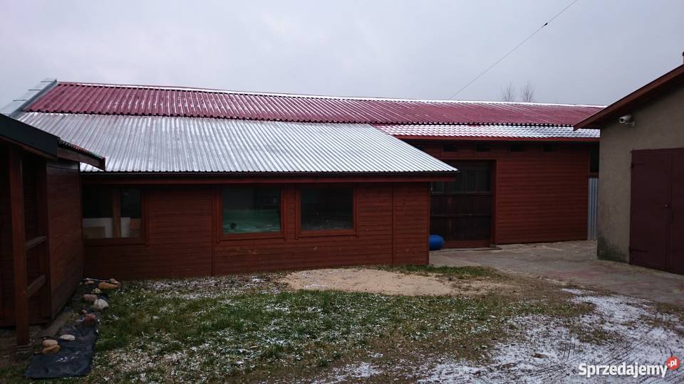 Stolarnia 2 Halebiuro Maszyny 1000m2 Centrum Nieruchomości Pabianice