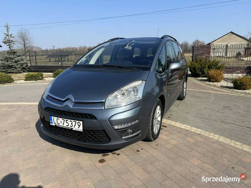 Citroen C4 Picasso I 20062013 komputer pokładowy Lipówki